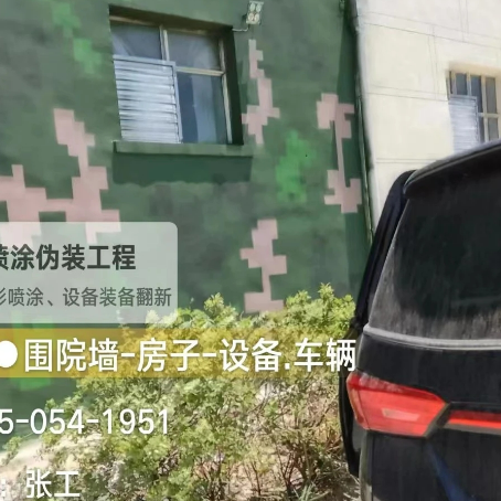 江苏数码迷彩漆施工